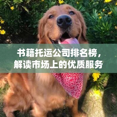 书籍托运公司排名榜，解读市场上的优质服务商