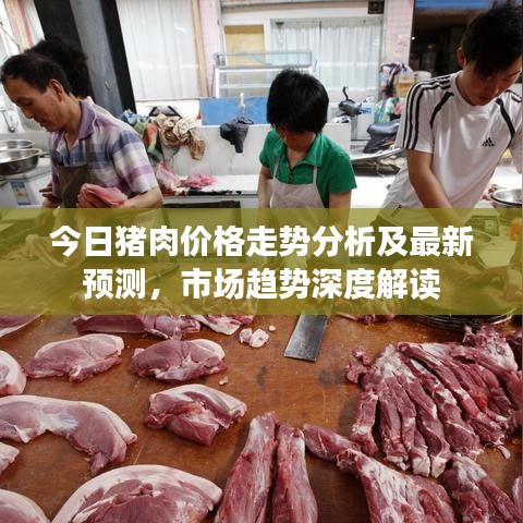 今日猪肉价格走势分析及最新预测，市场趋势深度解读