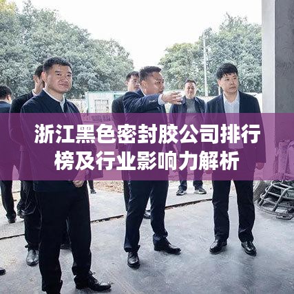 浙江黑色密封胶公司排行榜及行业影响力解析