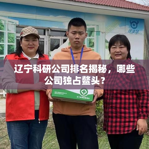 辽宁科研公司排名揭秘，哪些公司独占鳌头？
