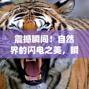 震撼瞬间！自然界的闪电之美，瞬间定格永恒