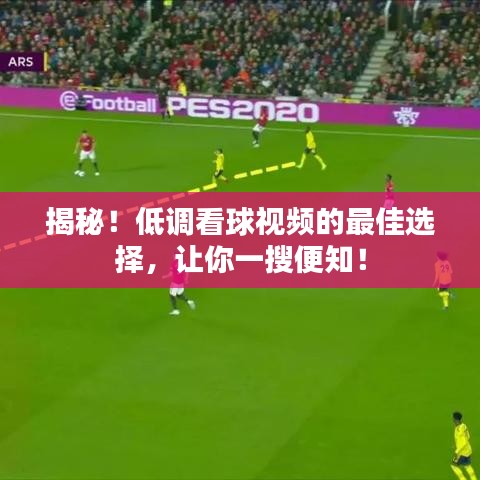 揭秘!低调看球视频的最佳选择,让你一搜便知!