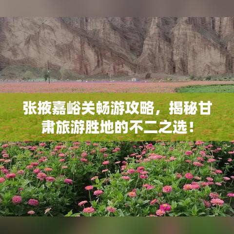 甄繁就简 第2页