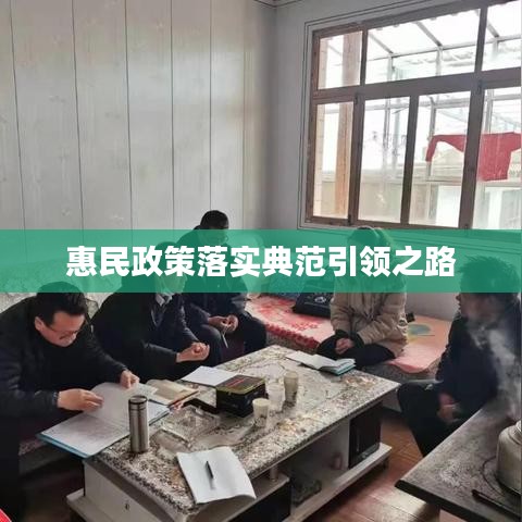 惠民政策落实典范引领之路