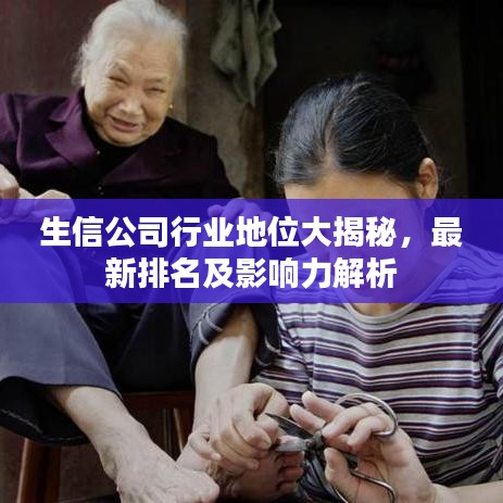 生信公司行业地位大揭秘，最新排名及影响力解析