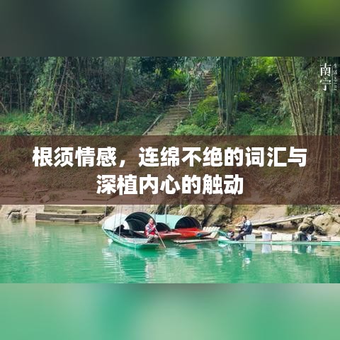 根须情感，连绵不绝的词汇与深植内心的触动