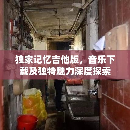 独家记忆吉他版,音乐下载及独特魅力深度探索