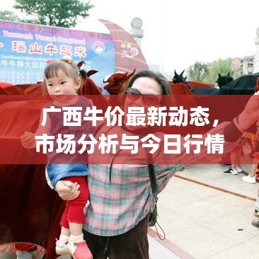 广西牛价最新动态，市场分析与今日行情