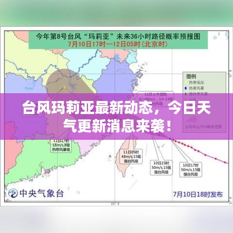 台风玛莉亚最新动态,今日天气更新消息来袭!