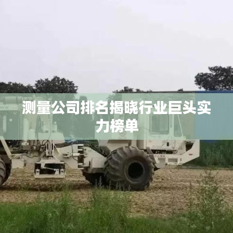 测量公司排名揭晓行业巨头实力榜单