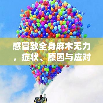 感冒致全身麻木无力，症状、原因与应对之策