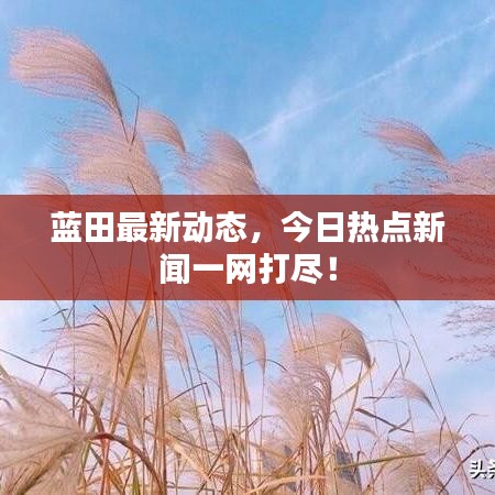 蓝田最新动态，今日热点新闻一网打尽！