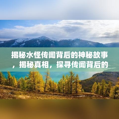 揭秘水怪传闻背后的神秘故事，揭秘真相，探寻传闻背后的真相！