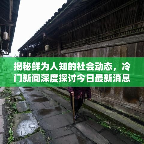 揭秘鲜为人知的社会动态,冷门新闻深度探讨今日最新消息