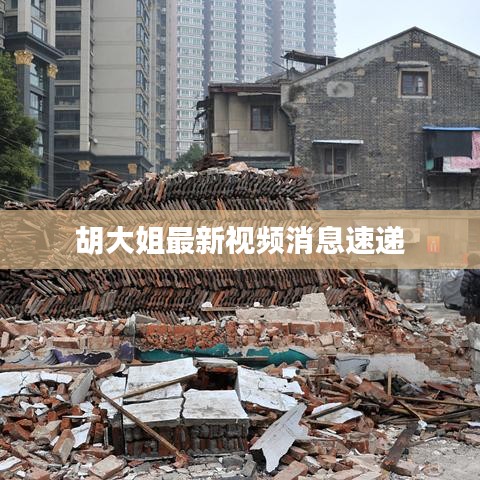 胡大姐最新视频消息速递