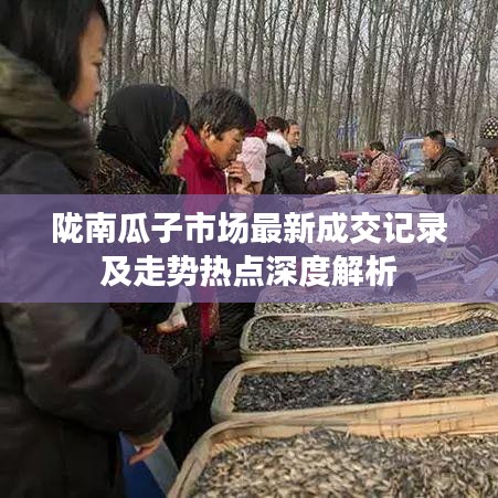 陇南瓜子市场最新成交记录及走势热点深度解析