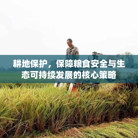 耕地保护，保障粮食安全与生态可持续发展的核心策略