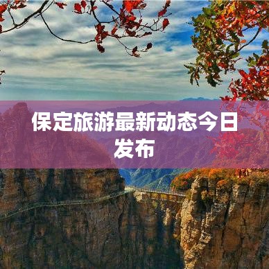 保定旅游最新动态今日发布