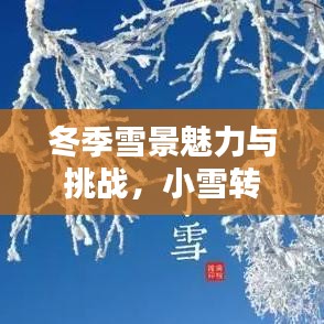 冬季雪景魅力与挑战,小雪转大雪的别样风情