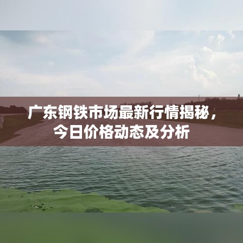 广东钢铁市场最新行情揭秘，今日价格动态及分析