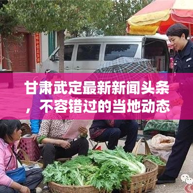 甘肃武定最新新闻头条,不容错过的当地动态