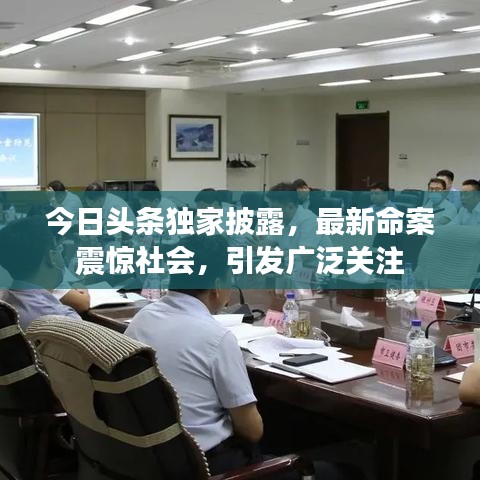 今日头条独家披露，最新命案震惊社会，引发广泛关注