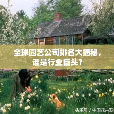 联系方式 第91页