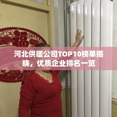 河北供暖公司TOP10榜单揭晓,优质企业排名一览