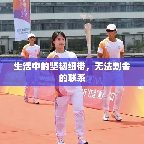 生活中的坚韧纽带，无法割舍的联系