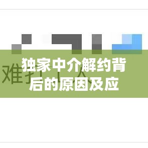 独家中介解约背后的原因及应对策略揭秘