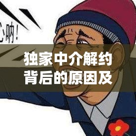 独家中介解约背后的原因及应对策略揭秘