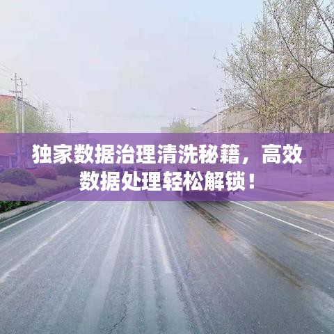 独家数据治理清洗秘籍，高效数据处理轻松解锁！