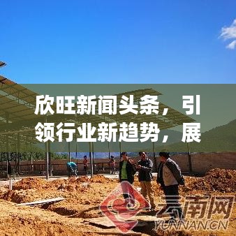 欣旺新闻头条，引领行业新趋势，展现多元发展风采