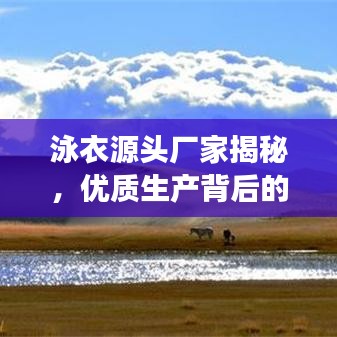泳衣源头厂家揭秘，优质生产背后的故事，百度带您探寻真相
