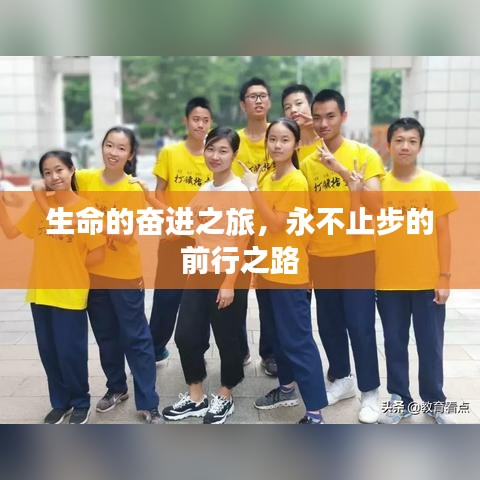 生命的奋进之旅，永不止步的前行之路