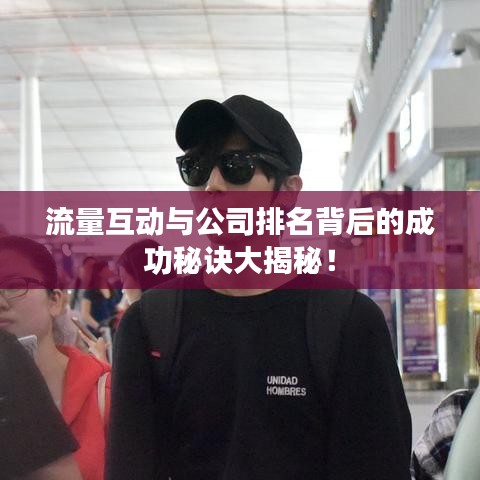 流量互动与公司排名背后的成功秘诀大揭秘！