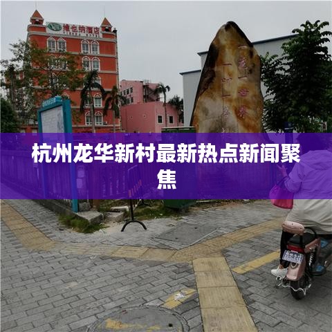 杭州龙华新村最新热点新闻聚焦