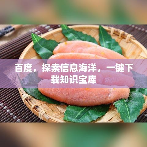 百度，探索信息海洋，一键下载知识宝库