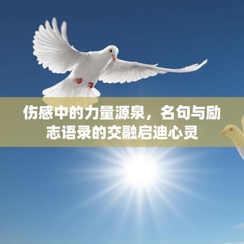 伤感中的力量源泉，名句与励志语录的交融启迪心灵