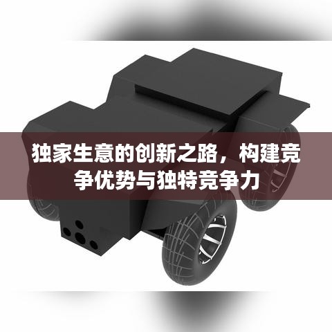 独家生意的创新之路，构建竞争优势与独特竞争力