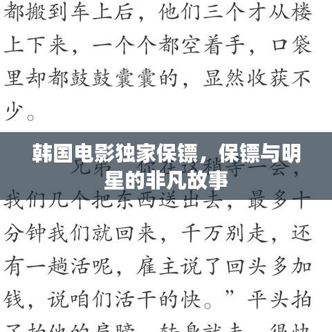韩国电影独家保镖，保镖与明星的非凡故事