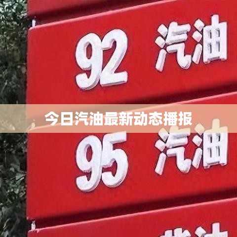 今日汽油最新动态播报