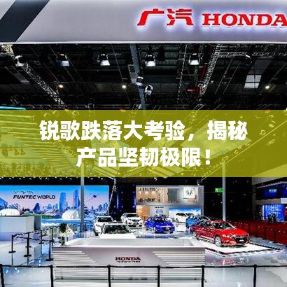 炙手可热 第3页