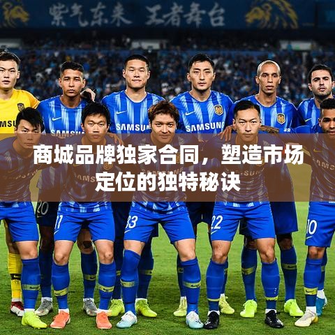 商城品牌独家合同，塑造市场定位的独特秘诀