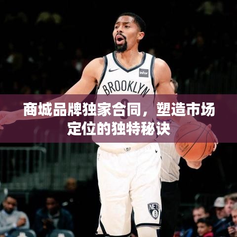 商城品牌独家合同,塑造市场定位的独特秘诀