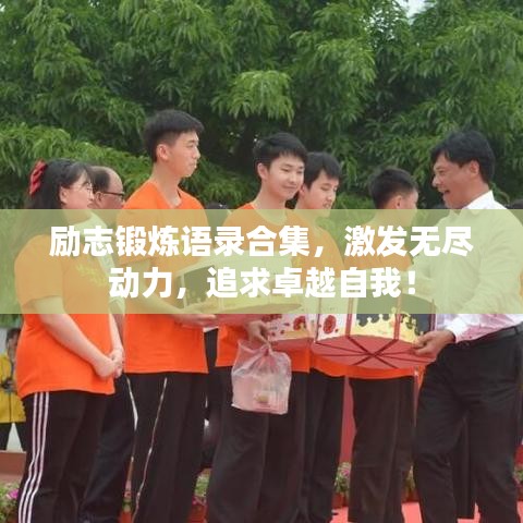 乌鸟之情 第2页