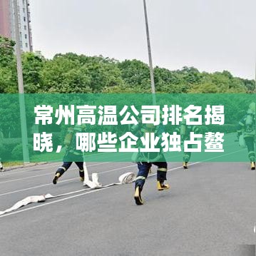 常州高温公司排名揭晓，哪些企业独占鳌头？
