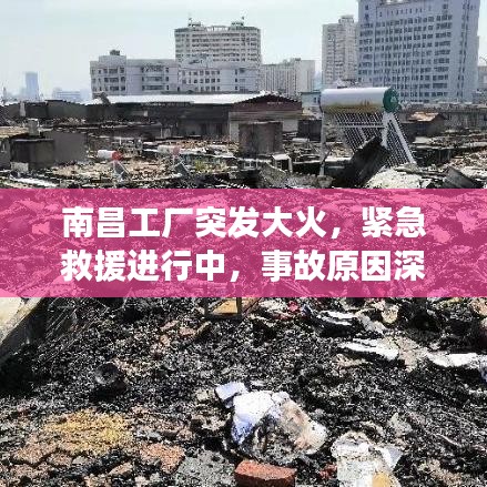 民贵君轻 第2页