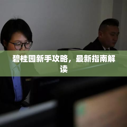 碧桂园新手攻略,最新指南解读