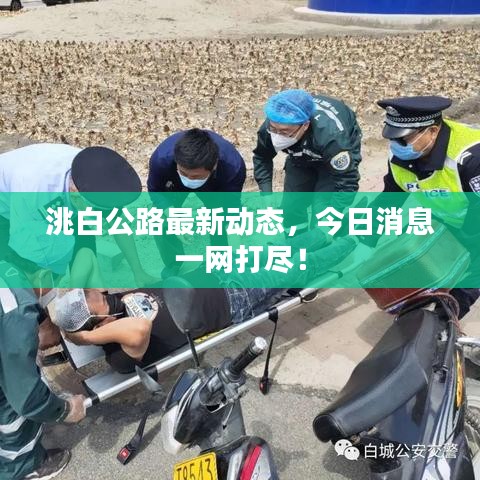 洮白公路最新动态,今日消息一网打尽!
